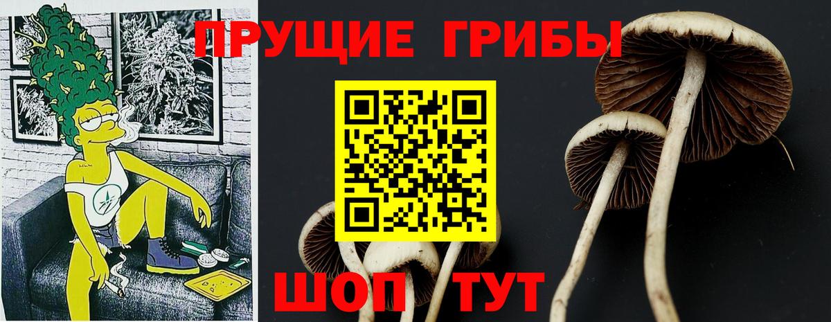 Галлюциногенные грибы Psilocybine cubensis  Вход с VPN  Рязань 